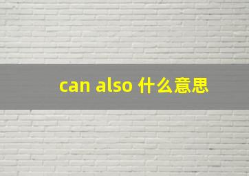 can also 什么意思